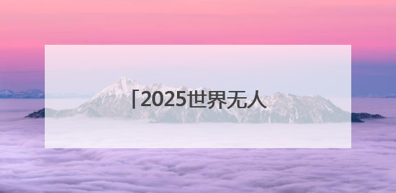 2025世界无人机大会落幕，意向成交额达200亿元