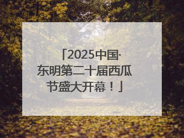 2025中国·东明第二十届西瓜节盛大开幕！