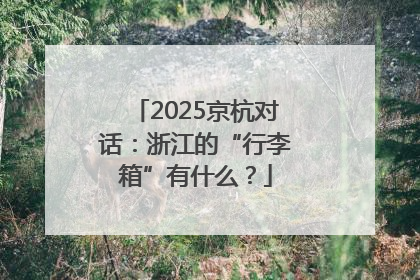 2025京杭对话：浙江的“行李箱”有什么？
