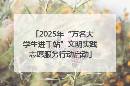 2025年“万名大学生进千站”文明实践志愿服务行动启动