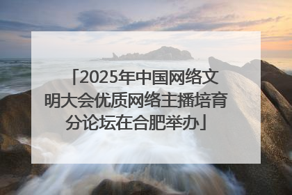2025年中国网络文明大会优质网络主播培育分论坛在合肥举办