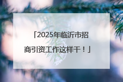 2025年临沂市招商引资工作这样干！
