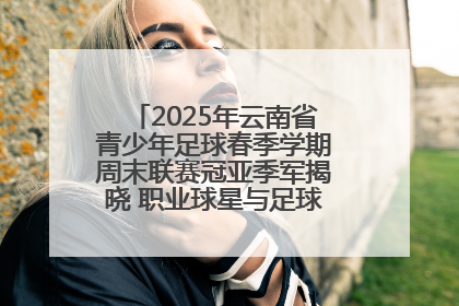 2025年云南省青少年足球春季学期周末联赛冠亚季军揭晓 职业球星与足球小将共享荣耀时刻