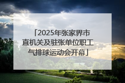 2025年张家界市直机关及驻张单位职工气排球运动会开幕