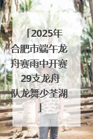 2025年合肥市端午龙舟赛雨中开赛 29支龙舟队龙舞少荃湖