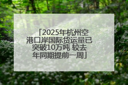 2025年杭州空港口岸国际货运量已突破10万吨 较去年同期提前一周