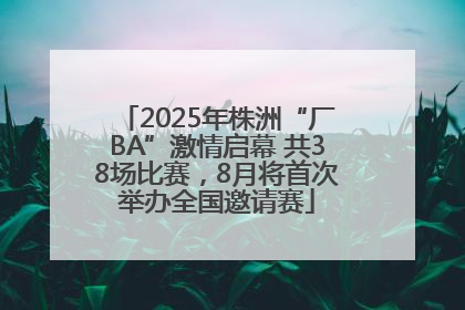 2025年株洲“厂BA”激情启幕 共38场比赛，8月将首次举办全国邀请赛