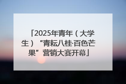 2025年青年（大学生）“青耘八桂·百色芒果”营销大赛开幕