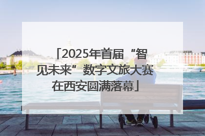 2025年首届“智见未来”数字文旅大赛在西安圆满落幕