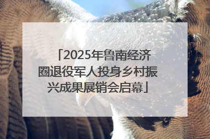 2025年鲁南经济圈退役军人投身乡村振兴成果展销会启幕