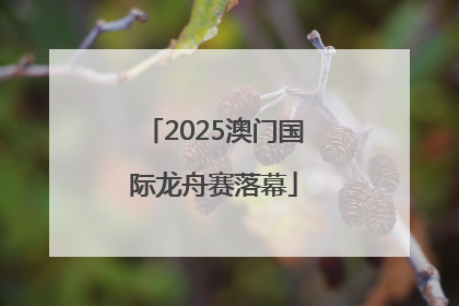 2025澳门国际龙舟赛落幕