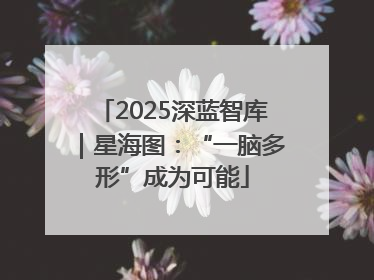 2025深蓝智库｜星海图：“一脑多形”成为可能