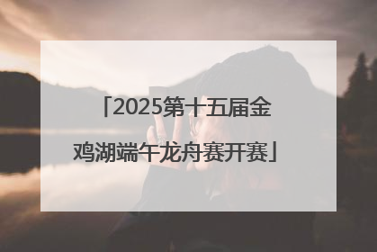 2025第十五届金鸡湖端午龙舟赛开赛