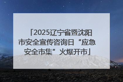 2025辽宁省暨沈阳市安全宣传咨询日“应急安全市集”火爆开市