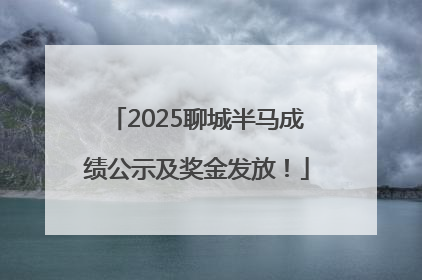 2025聊城半马成绩公示及奖金发放！