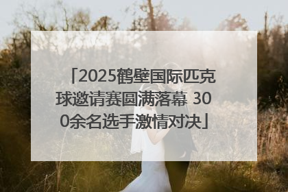 2025鹤壁国际匹克球邀请赛圆满落幕 300余名选手激情对决