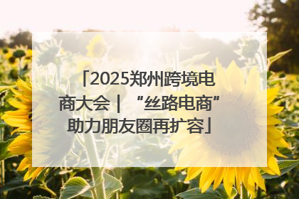 2025郑州跨境电商大会｜“丝路电商”助力朋友圈再扩容