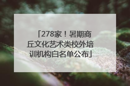 278家！暑期商丘文化艺术类校外培训机构白名单公布