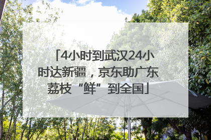 4小时到武汉24小时达新疆，京东助广东荔枝“鲜”到全国