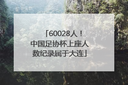 60028人！中国足协杯上座人数纪录属于大连