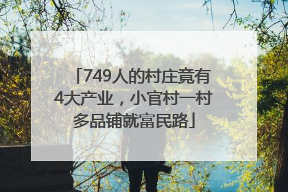 749人的村庄竟有4大产业，小官村一村多品铺就富民路