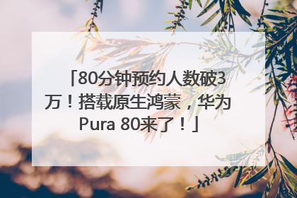 80分钟预约人数破3万！搭载原生鸿蒙，华为Pura 80来了！