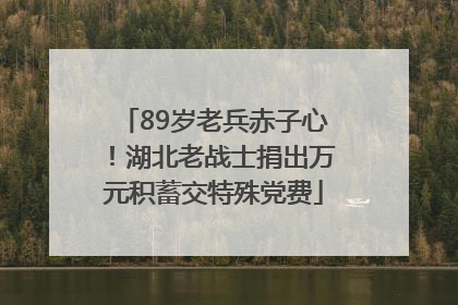 89岁老兵赤子心！湖北老战士捐出万元积蓄交特殊党费