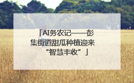 AI务农记——彭集街道甜瓜种植迎来“智慧丰收”