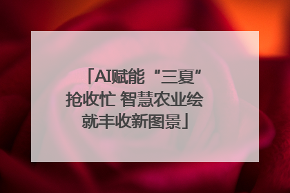 AI赋能“三夏”抢收忙 智慧农业绘就丰收新图景