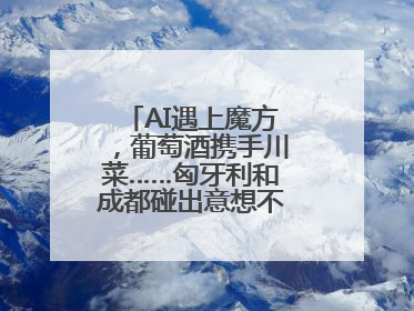 AI遇上魔方，葡萄酒携手川菜……匈牙利和成都碰出意想不到的合作机会