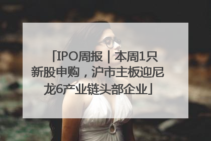 IPO周报｜本周1只新股申购，沪市主板迎尼龙6产业链头部企业