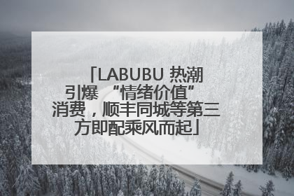 LABUBU 热潮引爆 “情绪价值” 消费，顺丰同城等第三方即配乘风而起