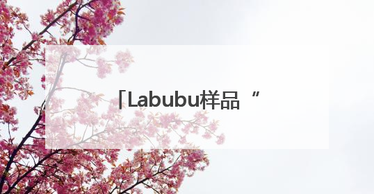 Labubu样品“痛墙”成打卡地标！开业4天已被挤爆，堪比早高峰菜市场