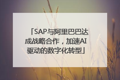 SAP与阿里巴巴达成战略合作，加速AI驱动的数字化转型