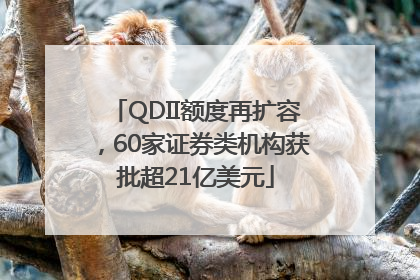 QDII额度再扩容，60家证券类机构获批超21亿美元